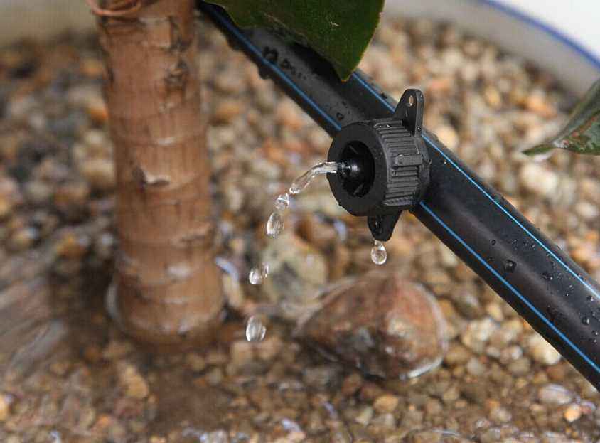 ѹ��������ͷ