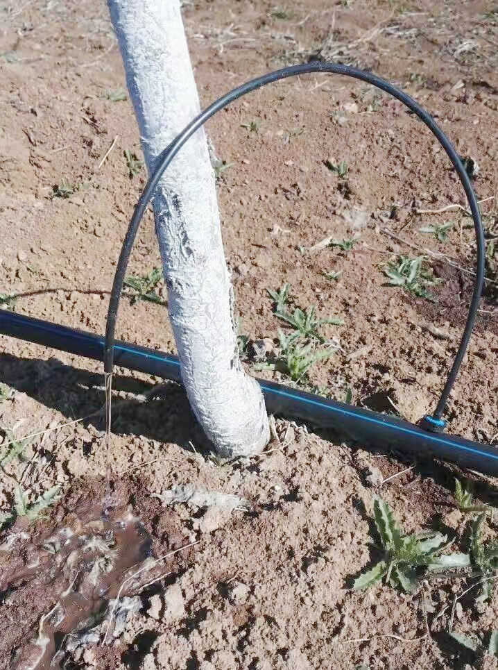 С�ܳ���-�����ι�