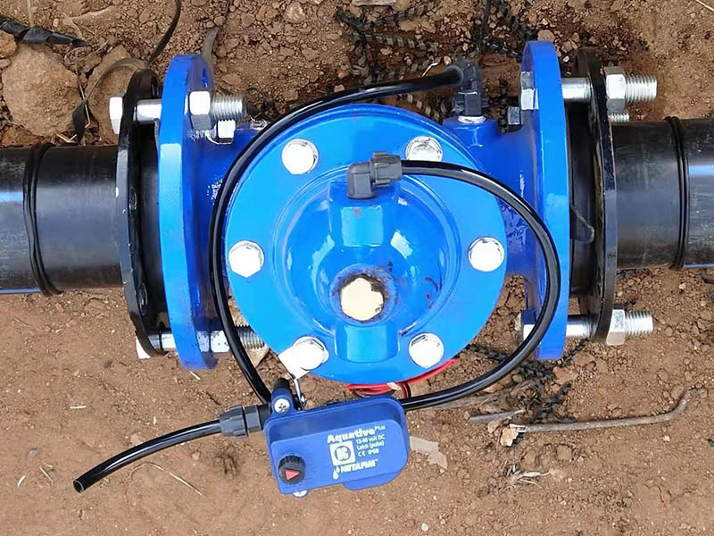 ������ŷ�